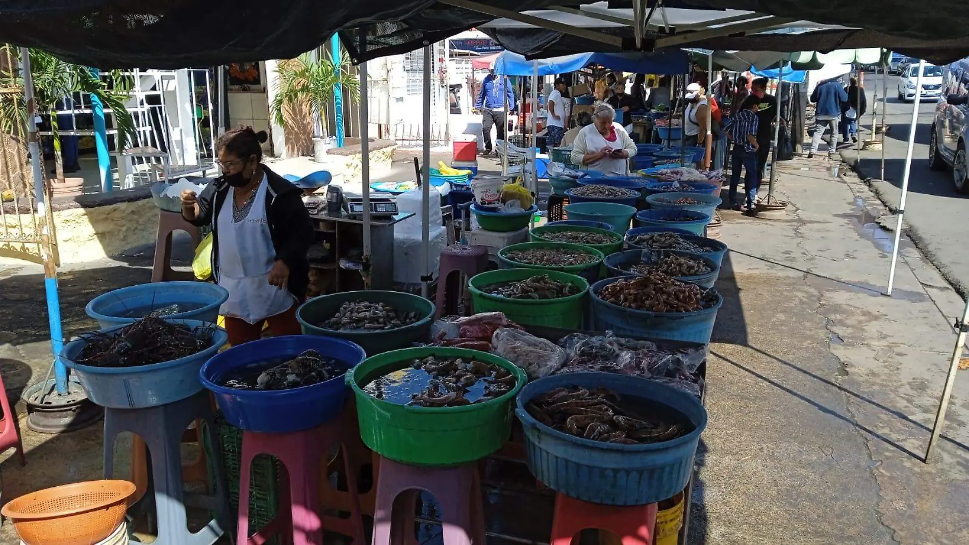 Ventas de Camaron Carnaval1